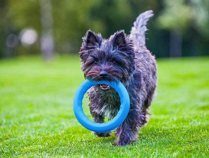 PitchDog Ring 17 (Small) – Floating Training Ring