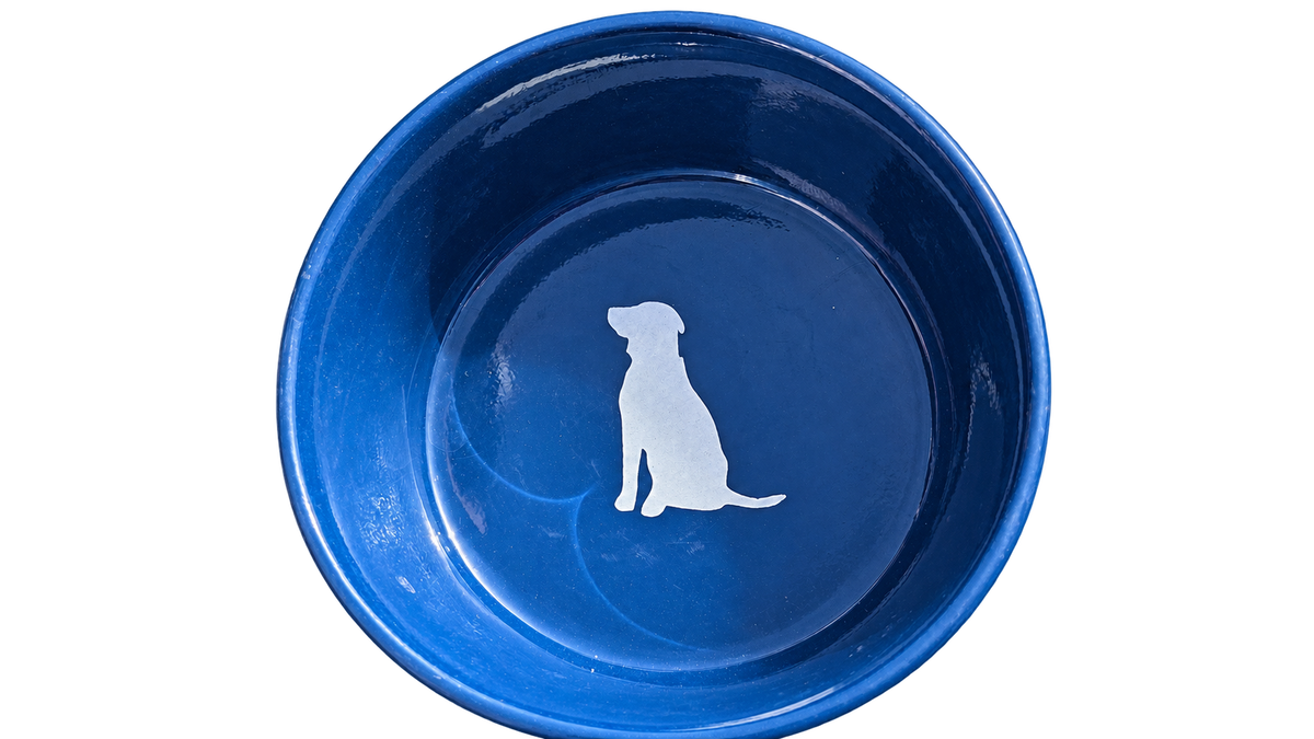 Hand-Decorated Dog Bowl — Princess, alternate view