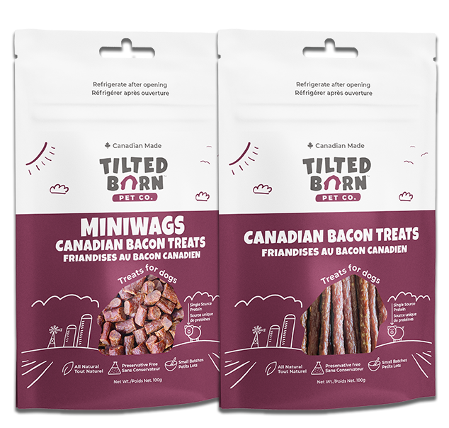 Tilted Barn Canadian Bacon dog treats, 100 g Miniwags and Original Sticks options