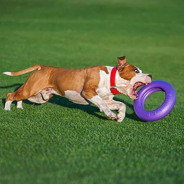 PULLER Maxi Dog Fitness Ring