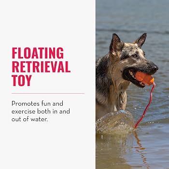 KONG Aqua Floating Fetch Toy – Medium