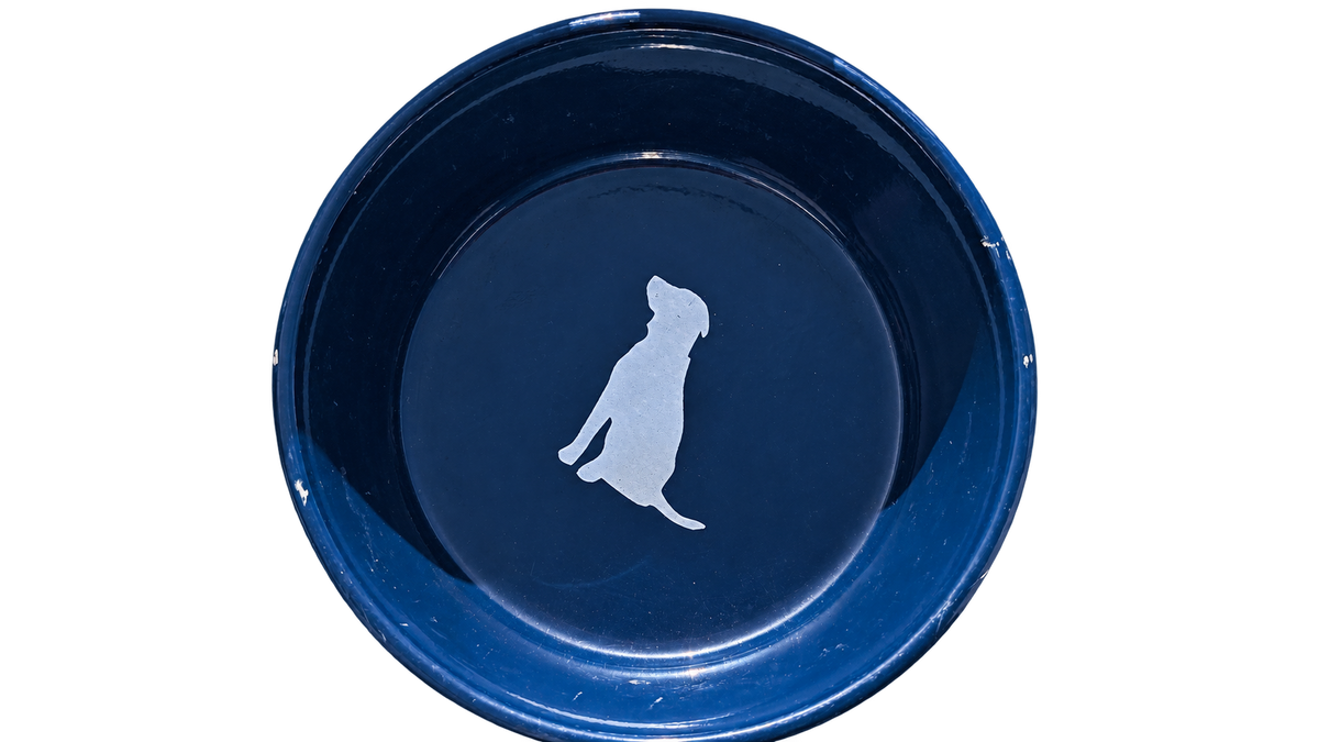 Hand-Painted Dog Bowl — Red & Black Marble, interior view