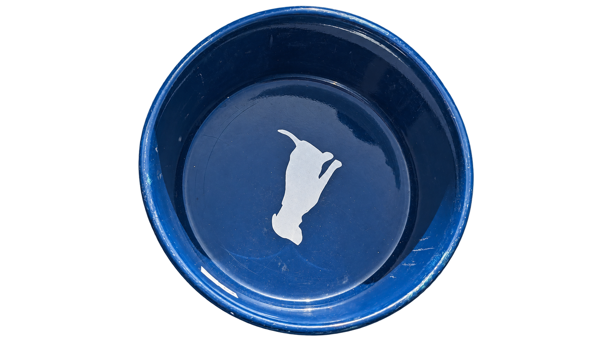 Hand-Painted Dog Bowl — Sunshine Marble, alternate view