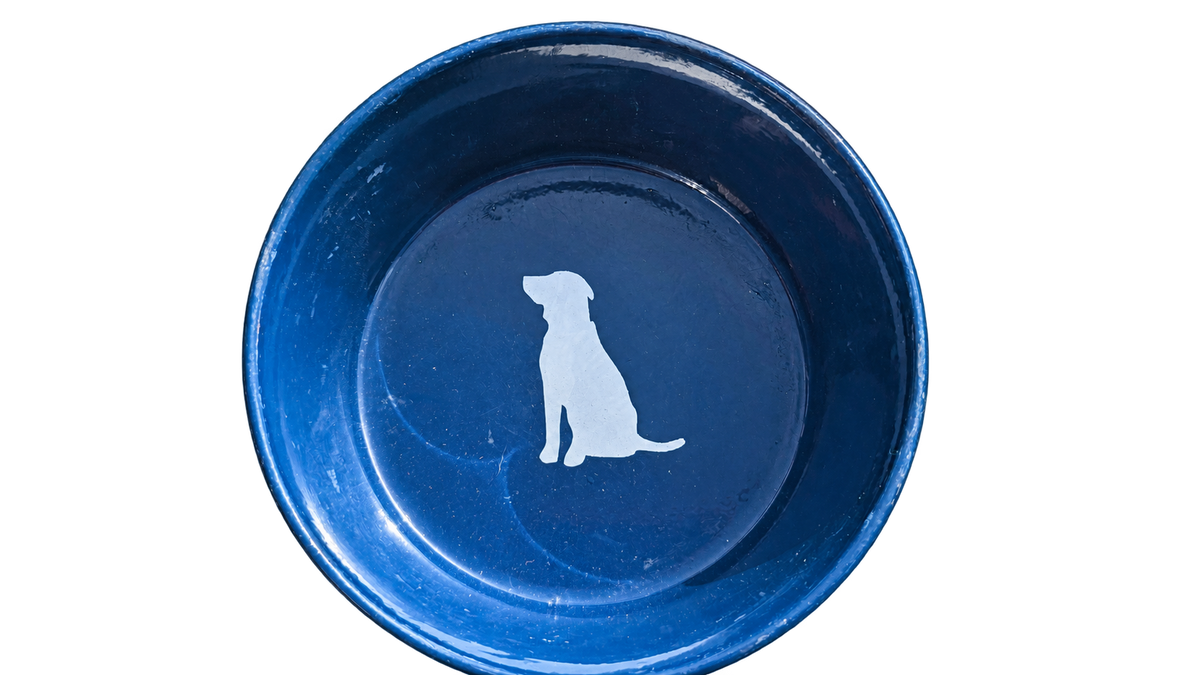 Hand-Decorated Dog Bowl — My Son, alternate view
