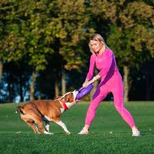 PULLER Maxi Dog Fitness Ring