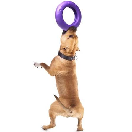 PULLER Maxi Dog Fitness Ring