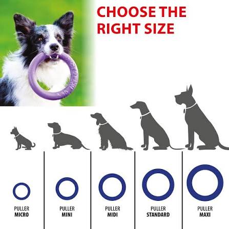 PULLER Midi Dog Fitness Rings