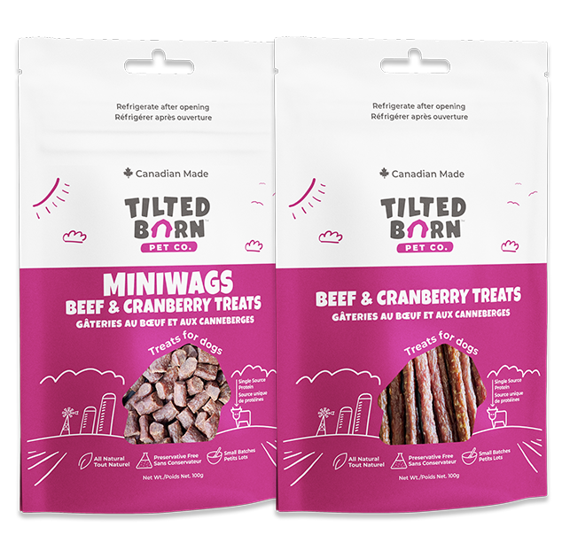 Tilted Barn Beef & Cranberry dog treats, 100 g Miniwags and Original Sticks options