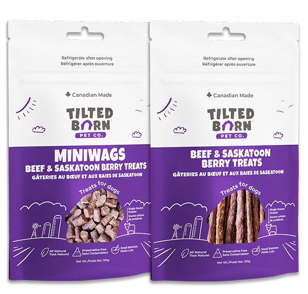 Tilted Barn Beef & Saskatoon Berry dog treats, 100 g Miniwags and Original Sticks options